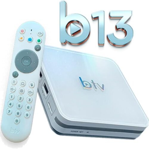 BTV b13