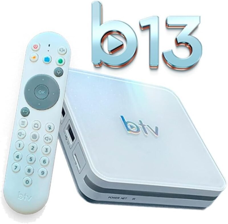 BTV b13